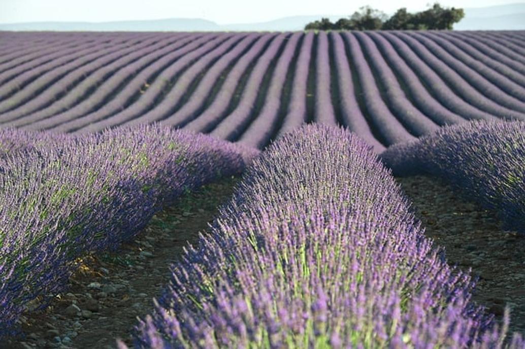 come usare un braccialetto di perline con olio essenziale